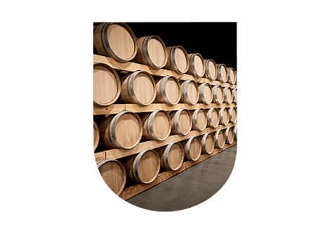 Élevage vin